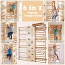 OLAKIDS Toddler Climbing Toys Indoor, 6 in 1 Swedish Ladder Wall Gym Kids