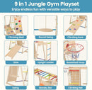 OLAKIDS Indoor Jungle Gym, 9 in 1 Wooden Montessori Baby Climbing Toys