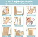 OLAKIDS Indoor Jungle Gym, 9 in 1 Wooden Montessori Baby Climbing Toys